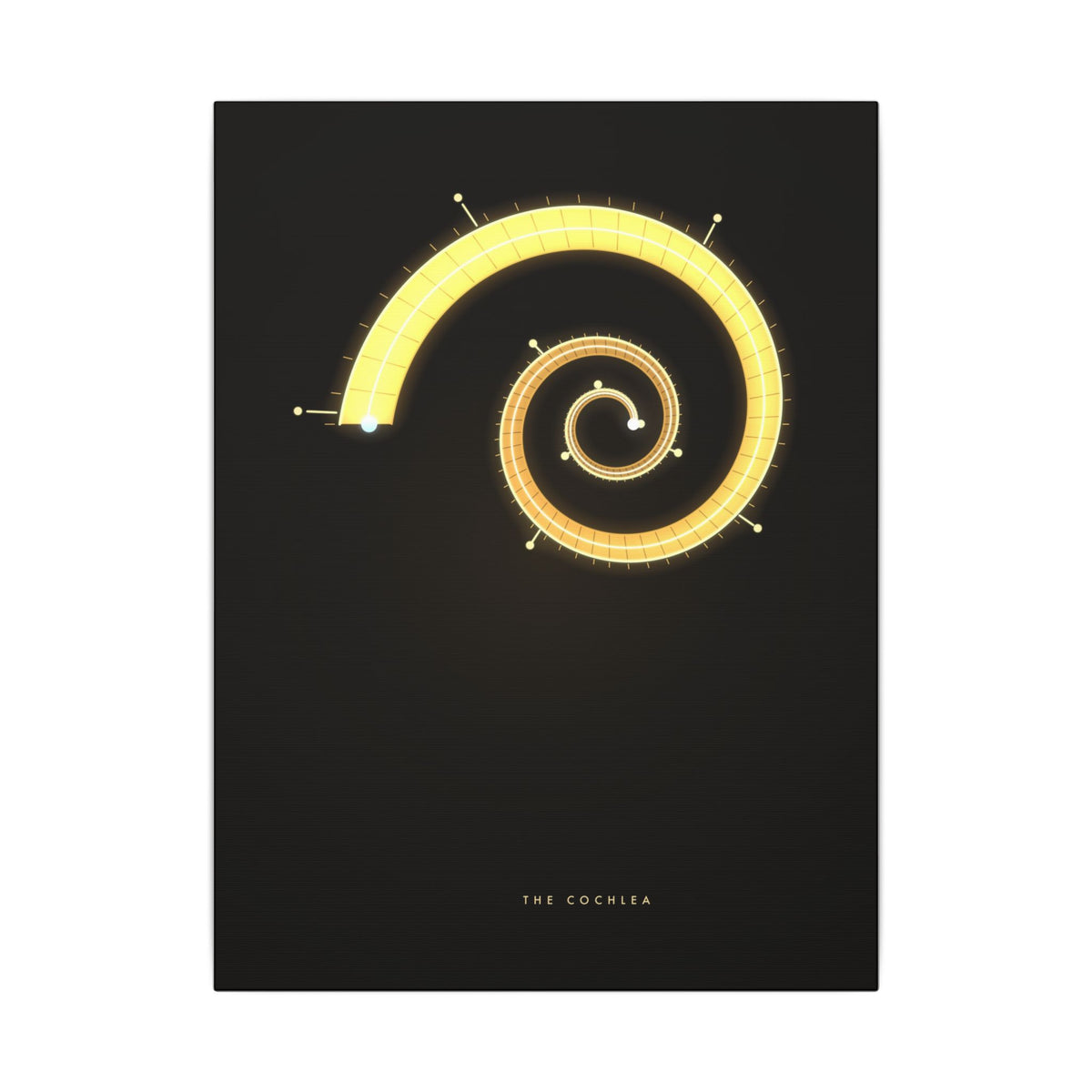 The Cochlea gallery canvas print, view 3
