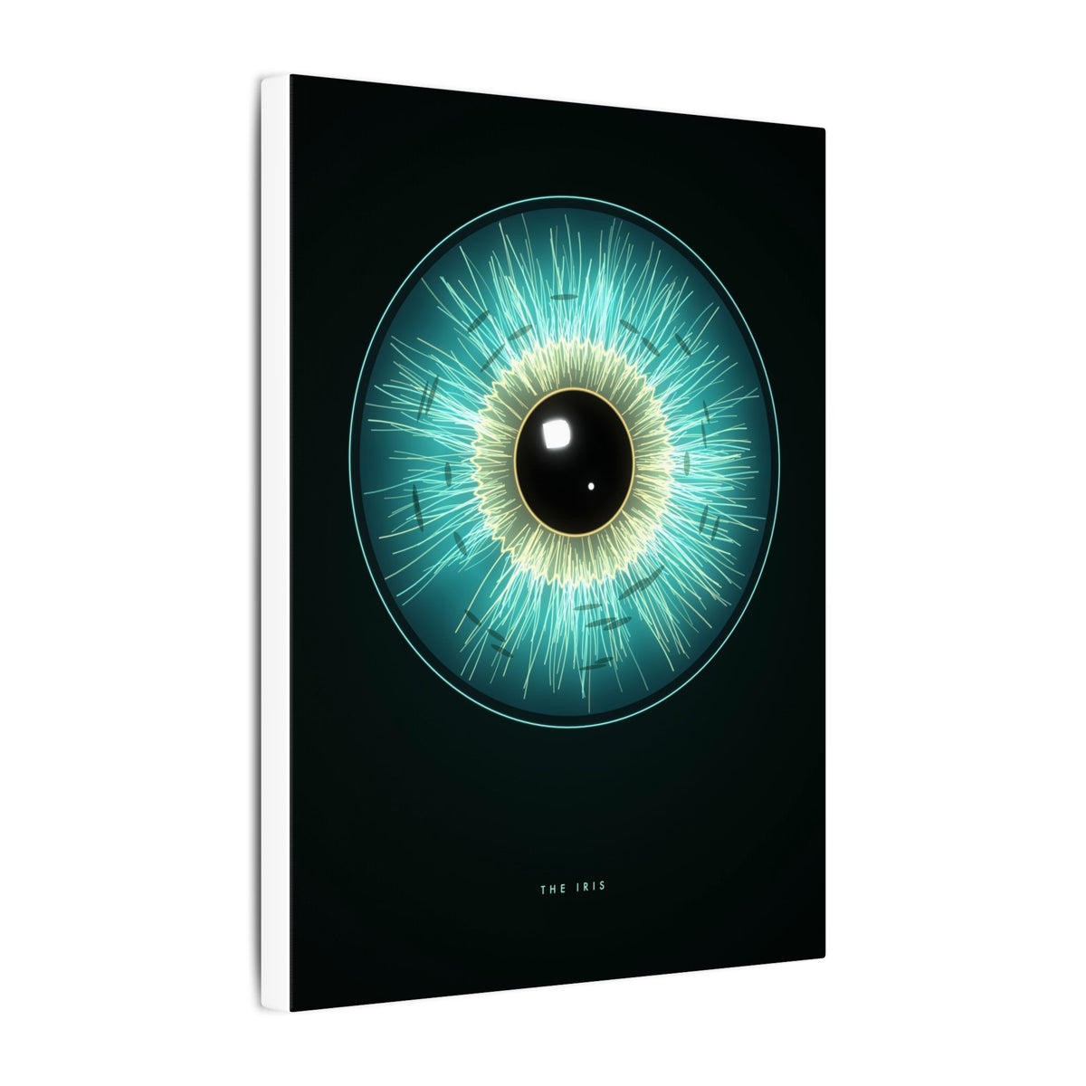 The Iris gallery canvas print, view 7