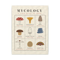 Mushroom Field Guide gallery canvas print, view 2