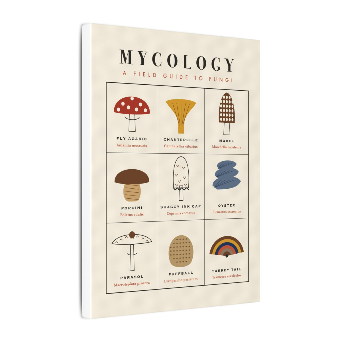 Mushroom Field Guide gallery canvas print, view 7