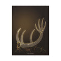 The Crown gallery canvas print, view 2