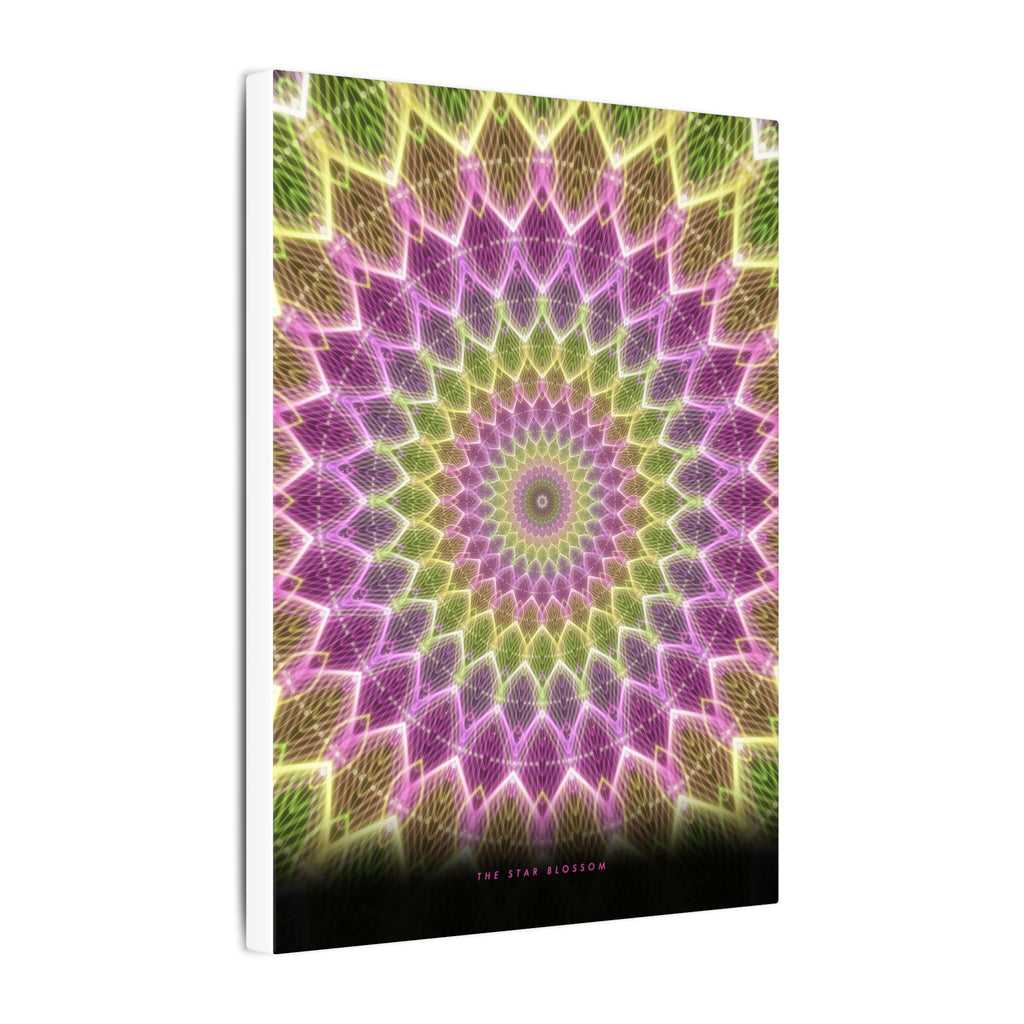 The Star Blossom gallery canvas print, view 7