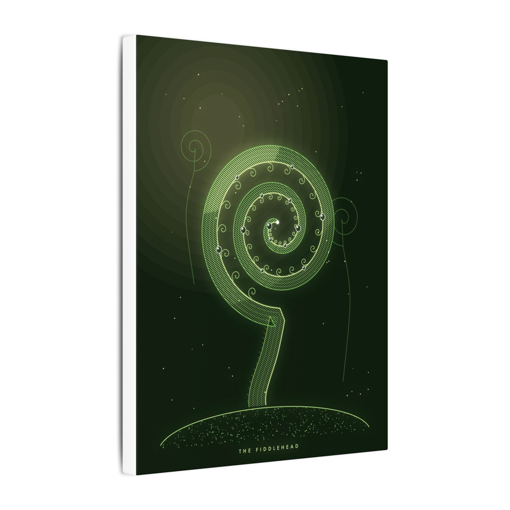 The Fiddlehead gallery canvas print, view 7