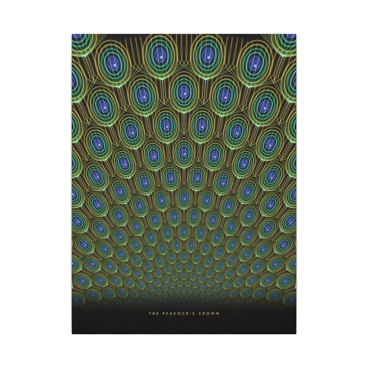 The Peacock's Crown gallery canvas print, view 1