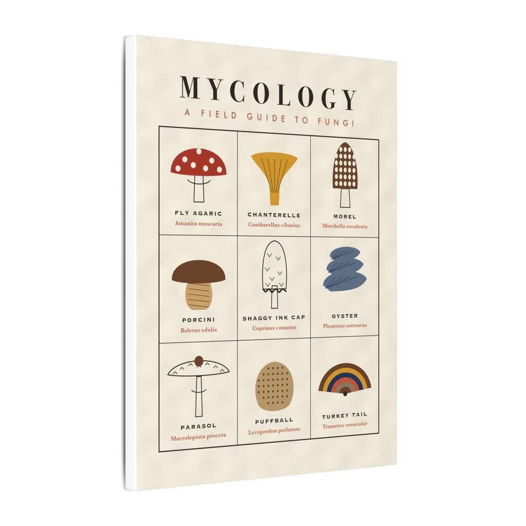 Mushroom Field Guide gallery canvas print, view 10