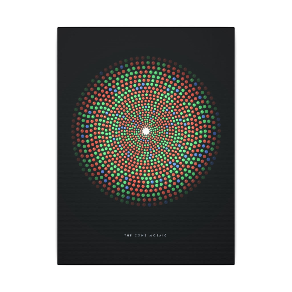 The Cone Mosaic gallery canvas print, view 2