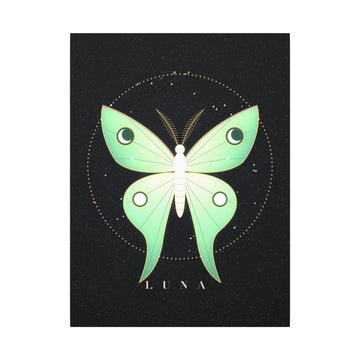 Luna Moth Canvas
