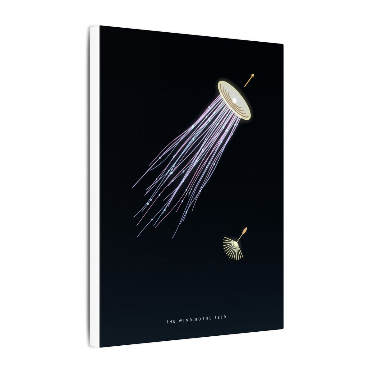 The Wind-Borne Seed gallery canvas print, view 7