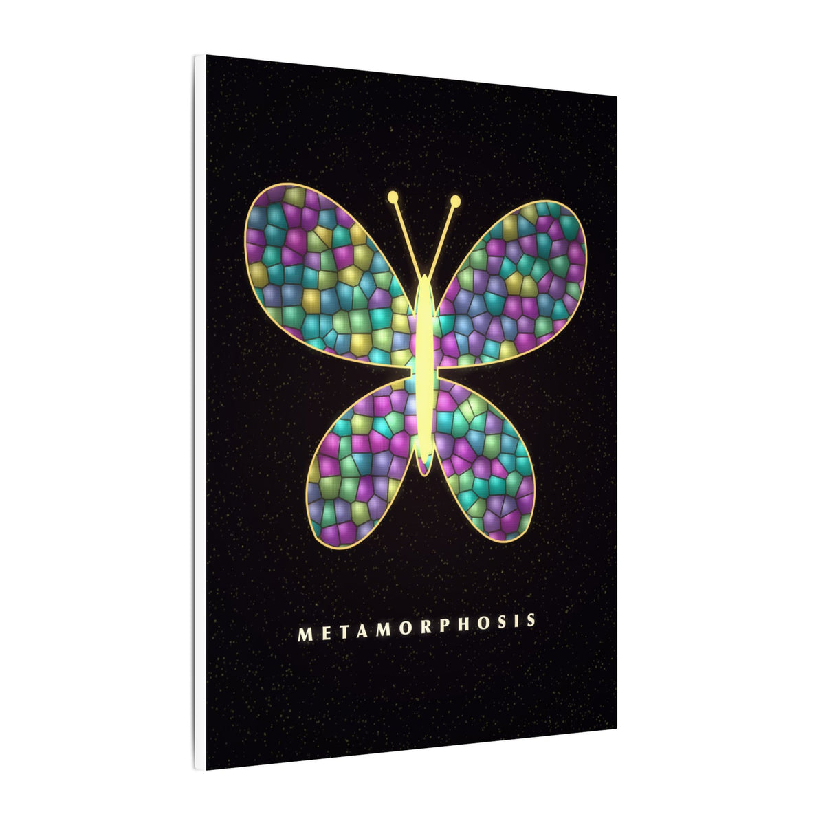 Glass Wings gallery canvas print, view 4