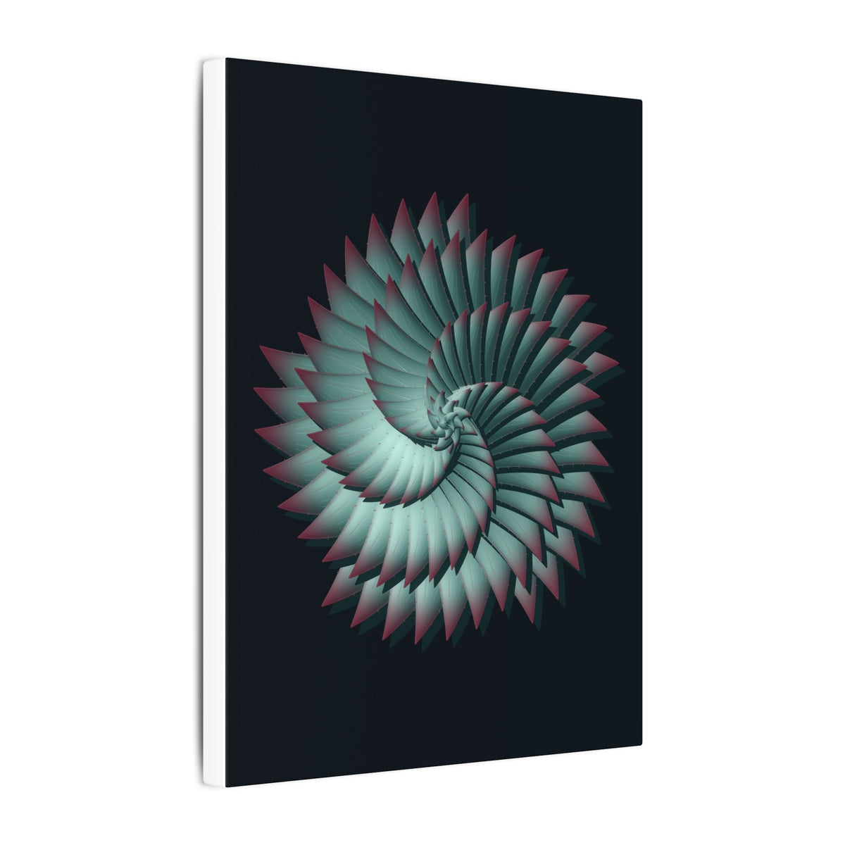 The Spiral Aloe gallery canvas print, view 7