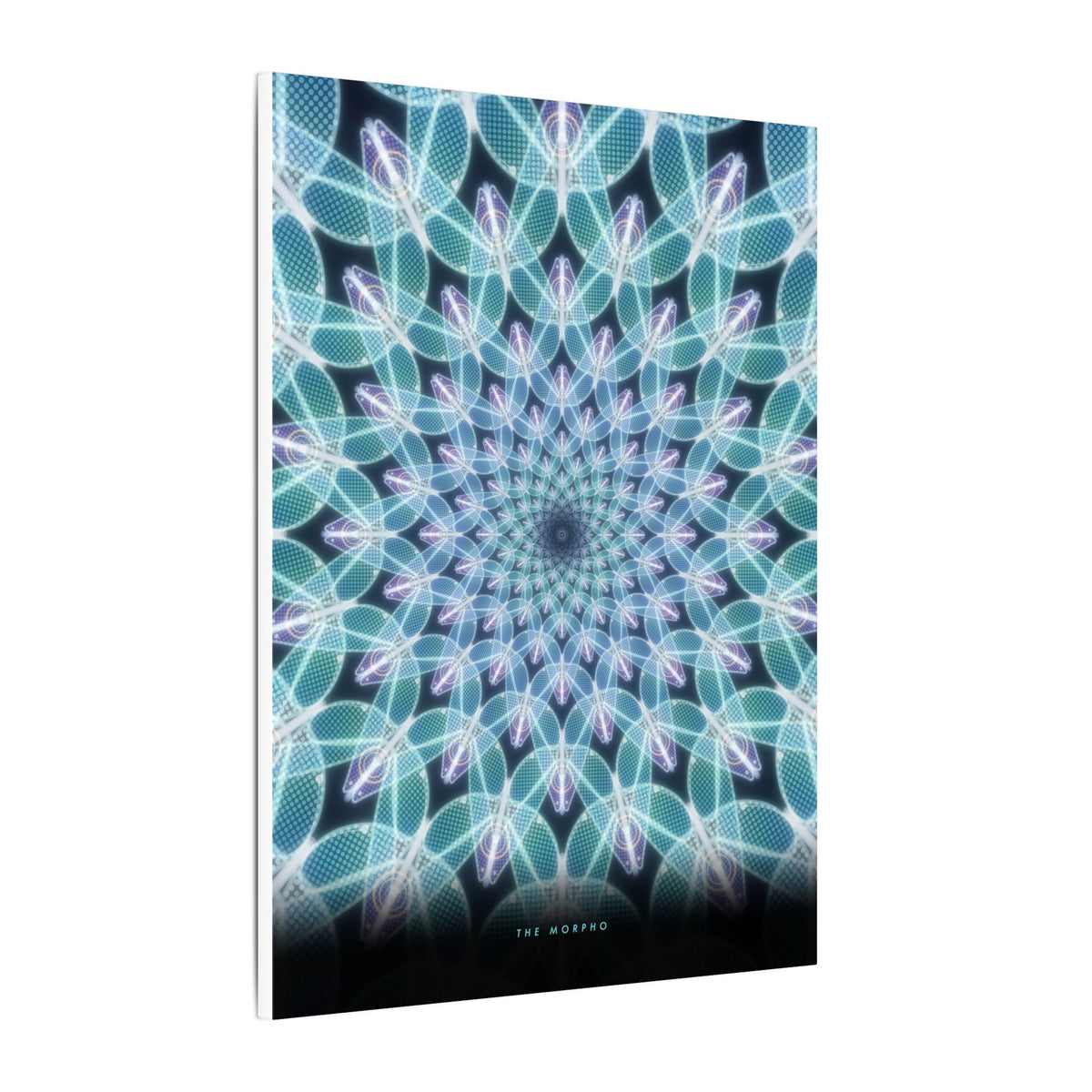 The Morpho gallery canvas print, view 4