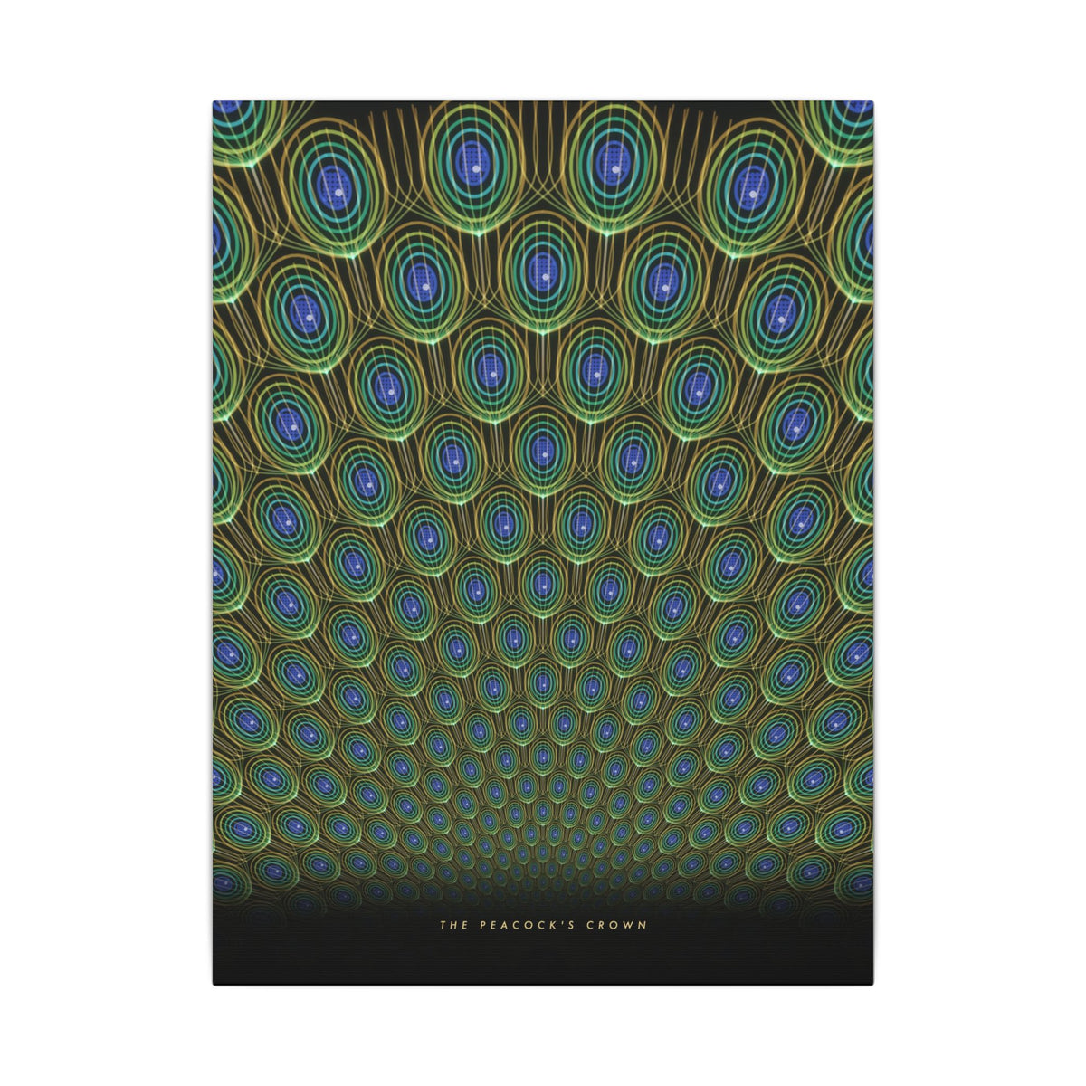 The Peacock's Crown gallery canvas print, view 3