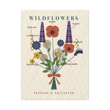 Wildflower Field Guide Canvas