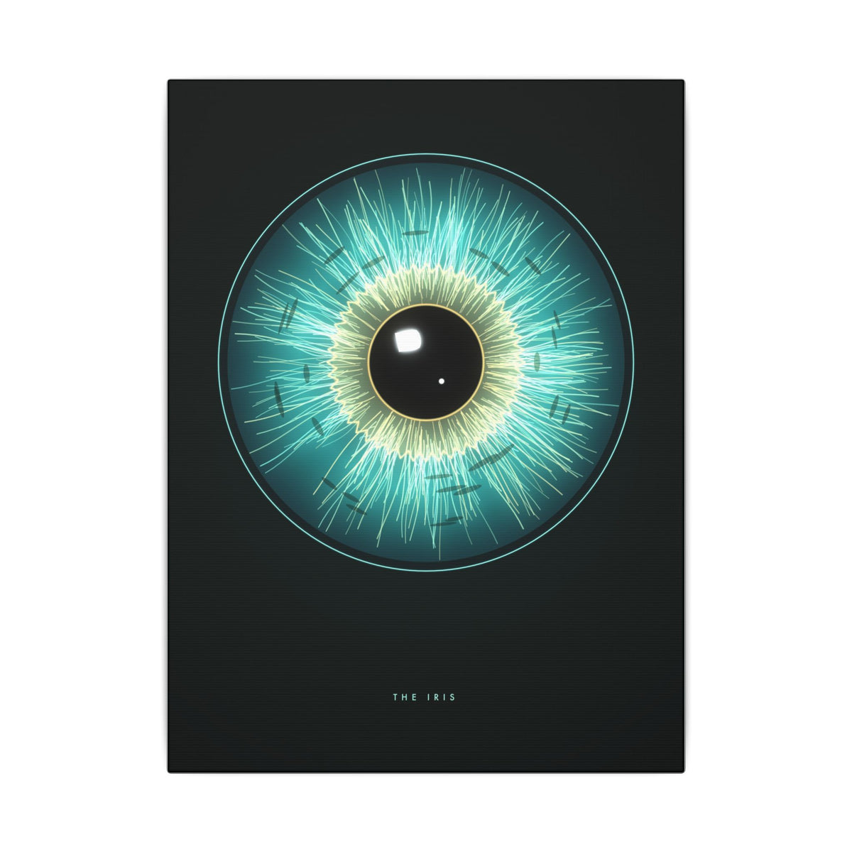 The Iris gallery canvas print, view 2