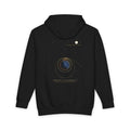 Newton's Cannonball heavyweight hoodie in Black, original art by AuraCanvas