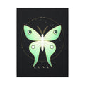 Luna Moth gallery canvas print, view 2