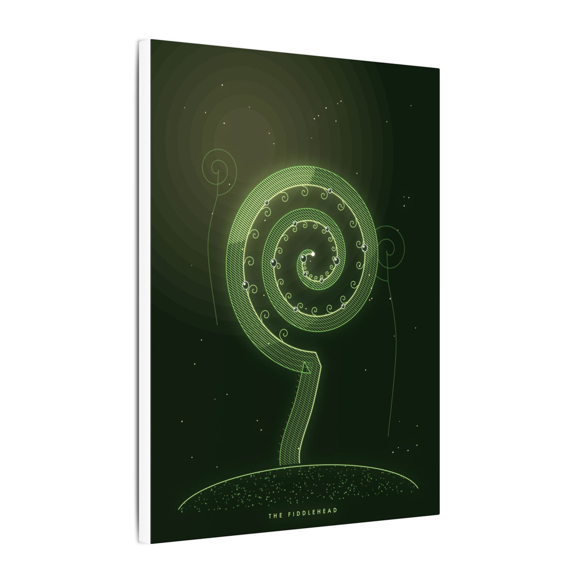 The Fiddlehead gallery canvas print, view 10