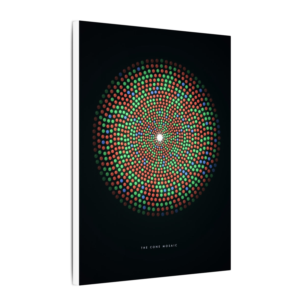 The Cone Mosaic gallery canvas print, view 10