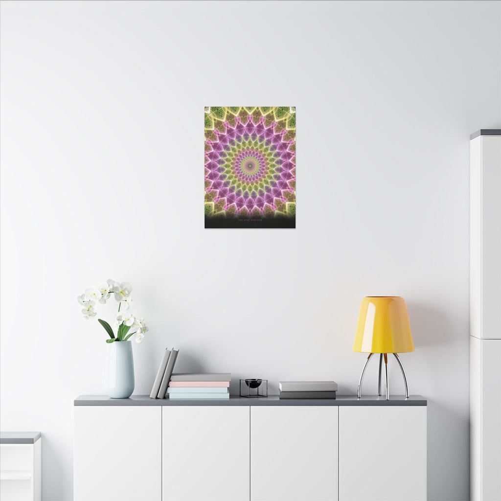The Star Blossom gallery canvas print, view 6