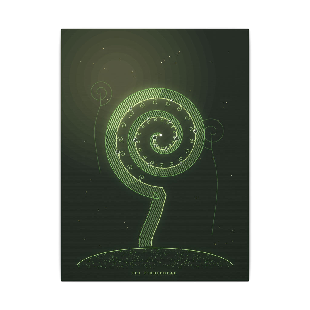 The Fiddlehead gallery canvas print, view 2
