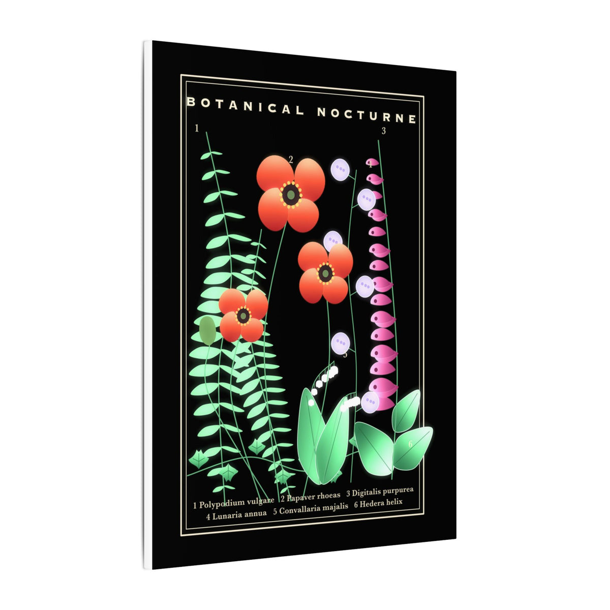 Botanical Nocturne gallery canvas print, view 4