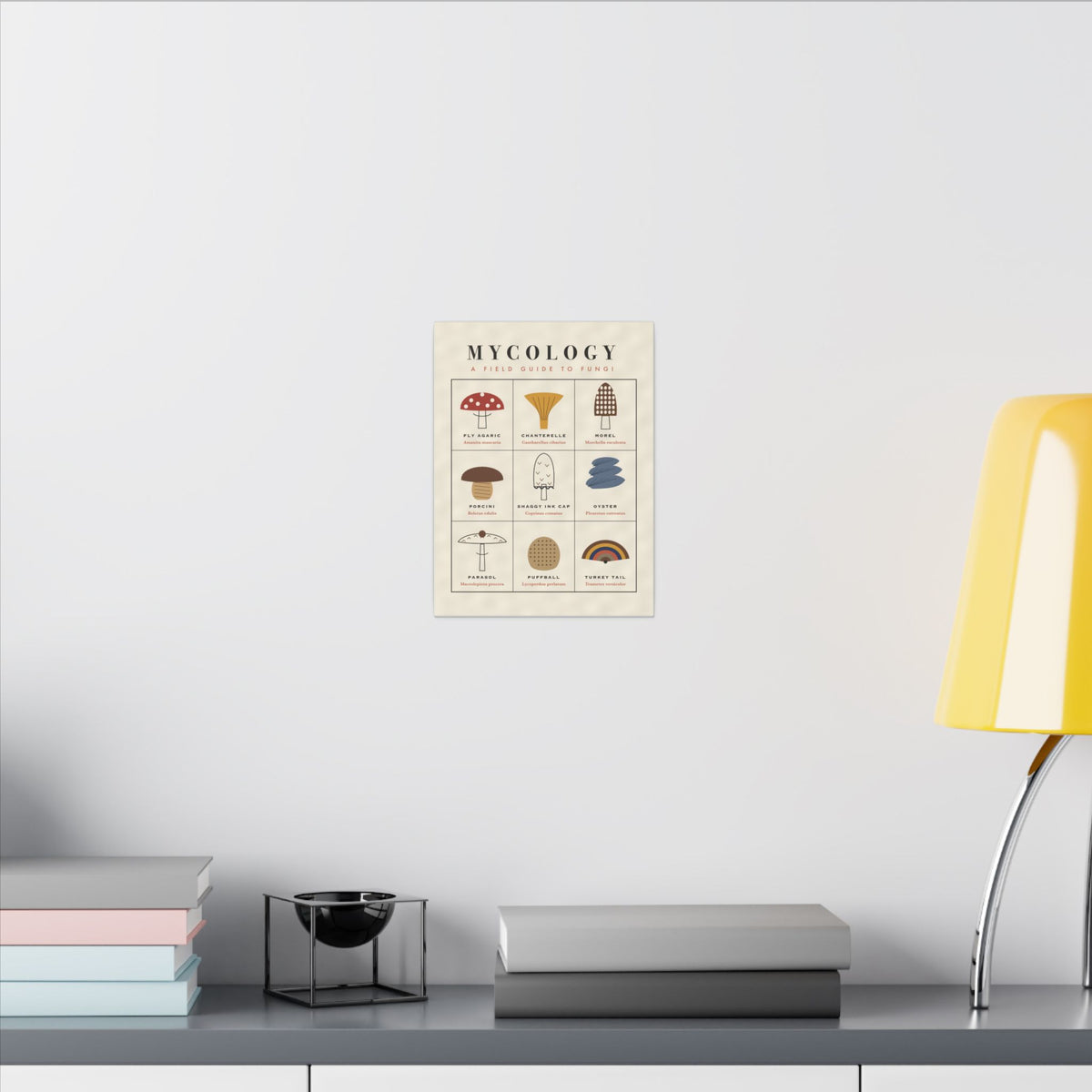 Mushroom Field Guide gallery canvas print, view 9