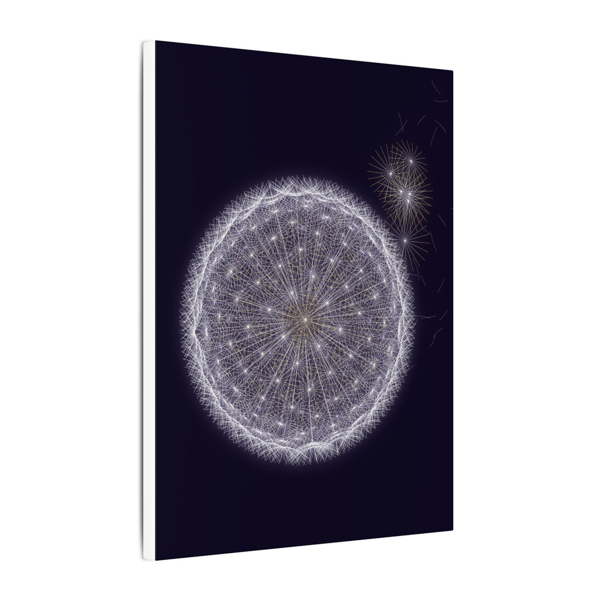 The Dandelion Clock gallery canvas print, view 10