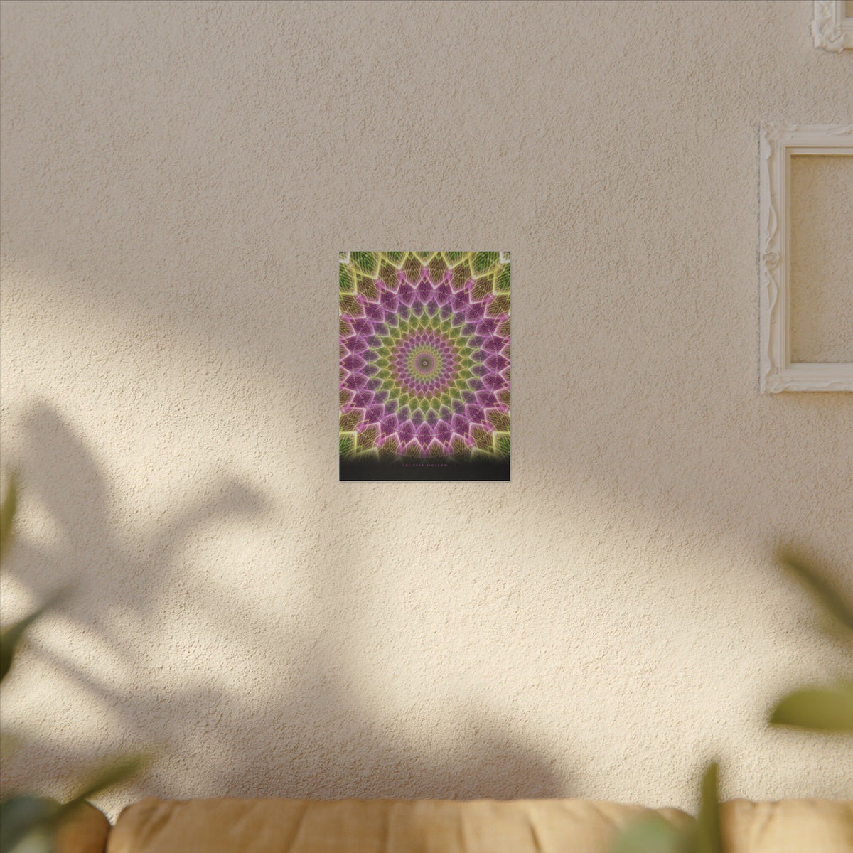 The Star Blossom gallery canvas print, view 8