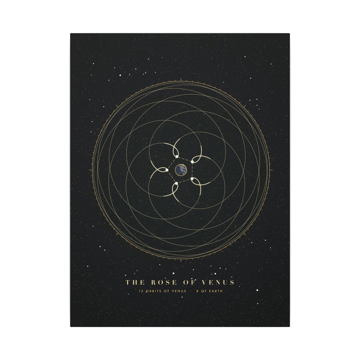 The Rose of Venus gallery canvas print, view 1