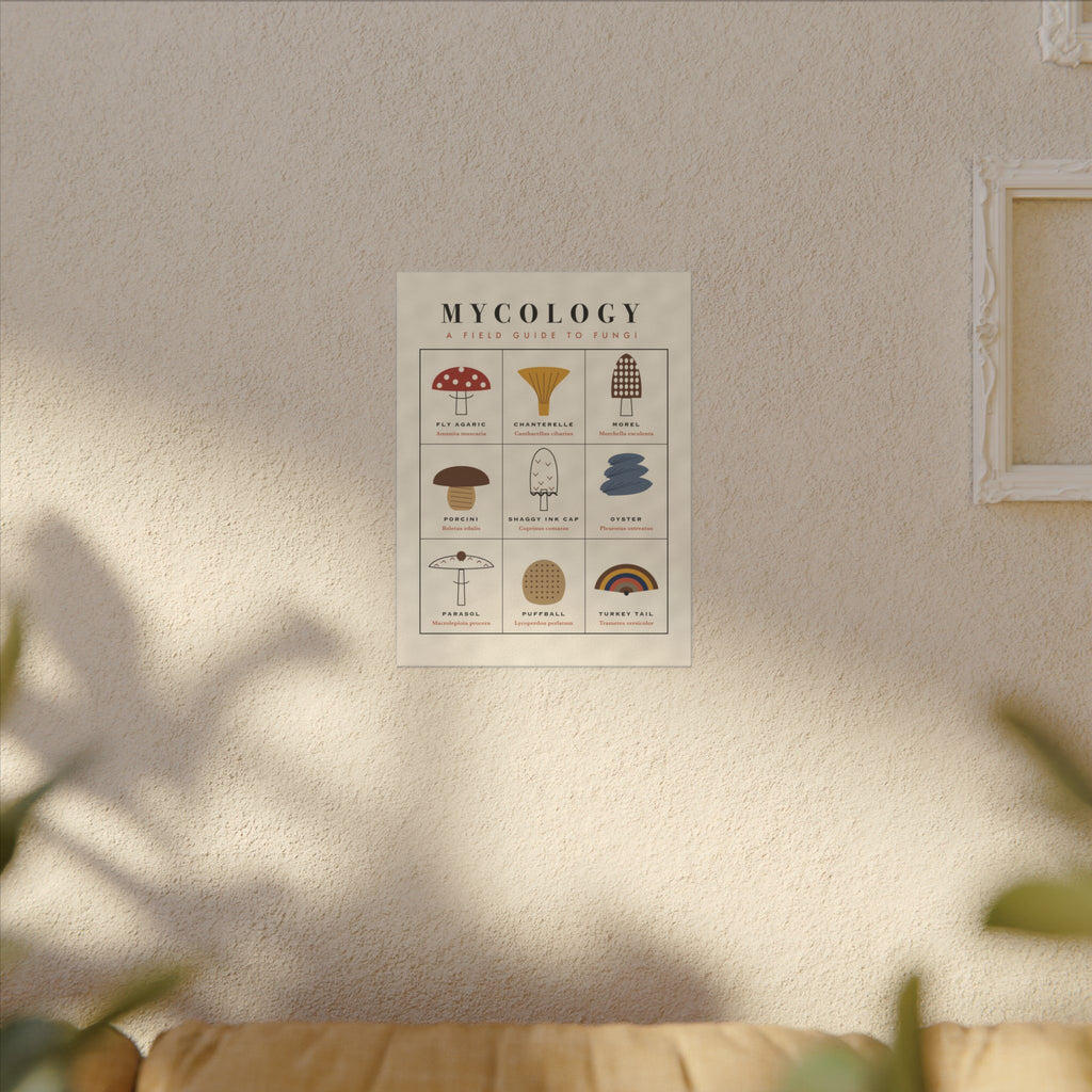 Mushroom Field Guide gallery canvas print, view 11