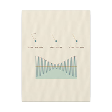 Spring and Neap Canvas