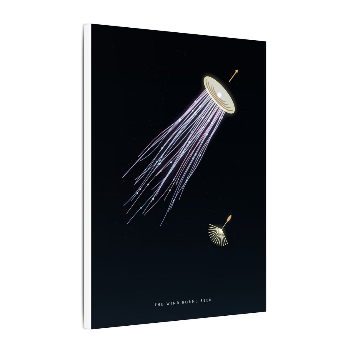 The Wind-Borne Seed gallery canvas print, view 10