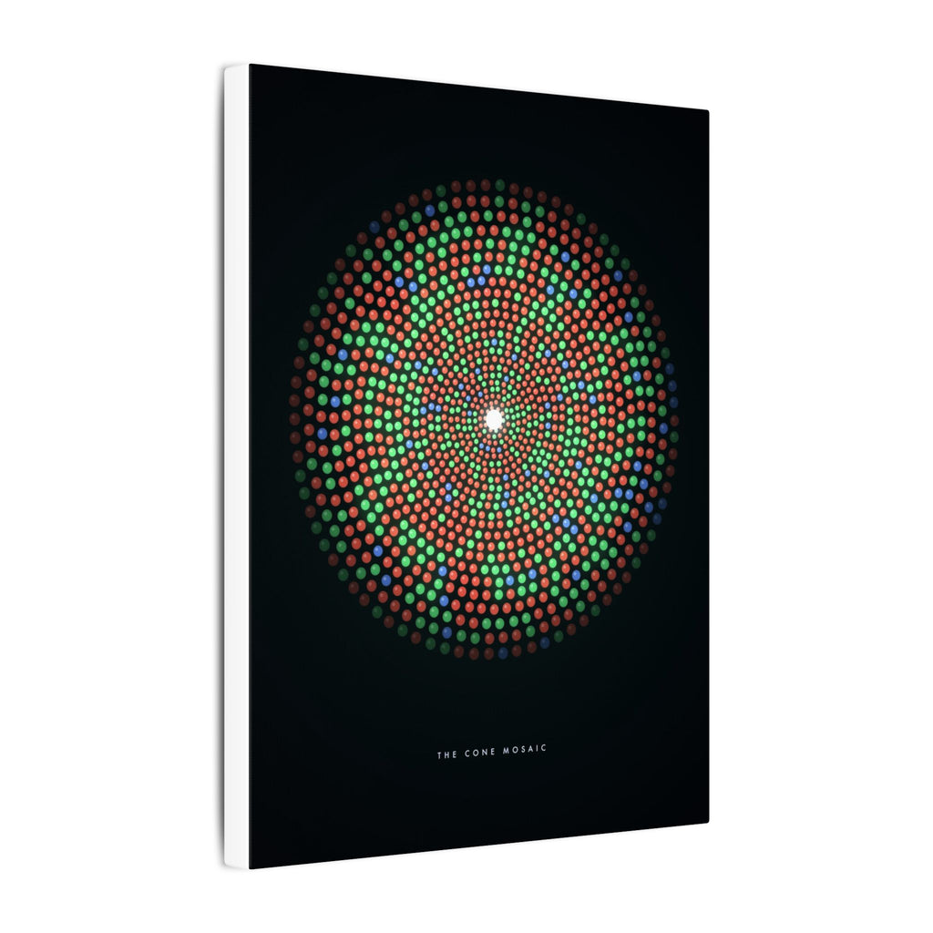 The Cone Mosaic gallery canvas print, view 7