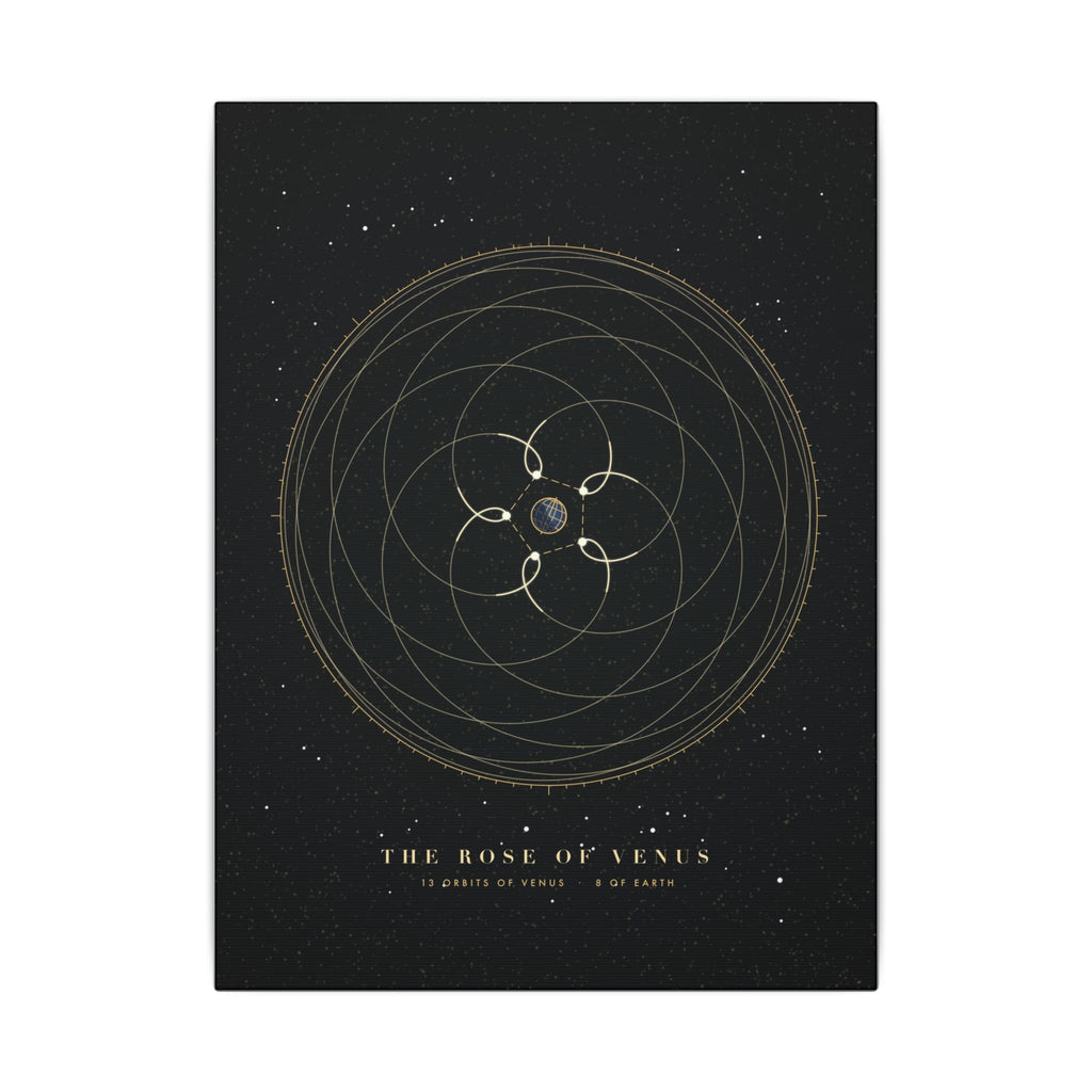 The Rose of Venus gallery canvas print, view 2