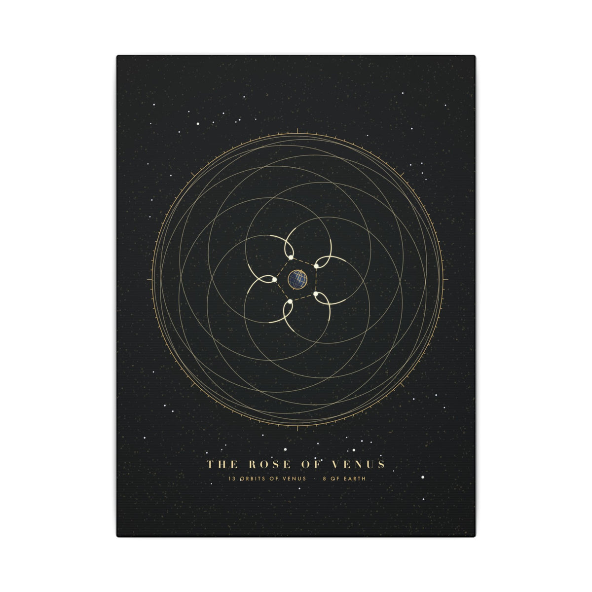 The Rose of Venus gallery canvas print, view 2