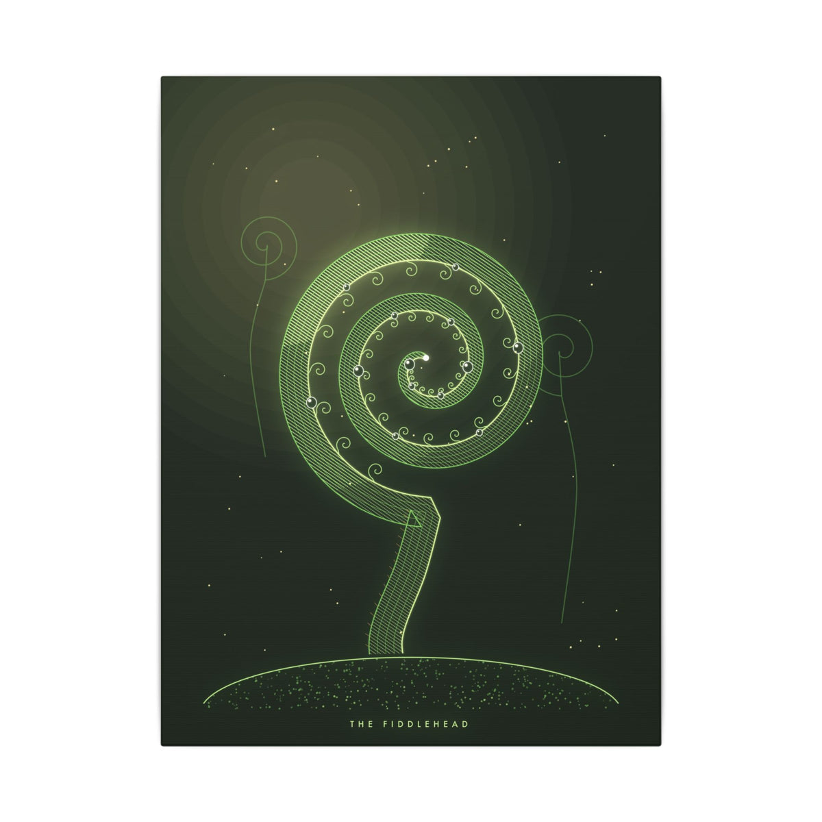 The Fiddlehead gallery canvas print, view 3