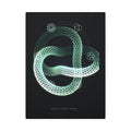 Kelvin's Vortex Atoms gallery canvas print, view 2