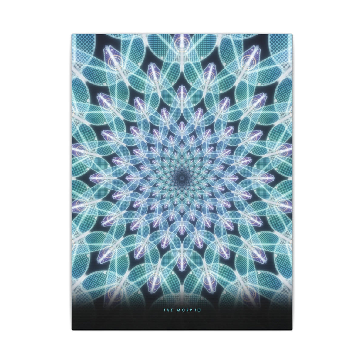 The Morpho gallery canvas print, view 2