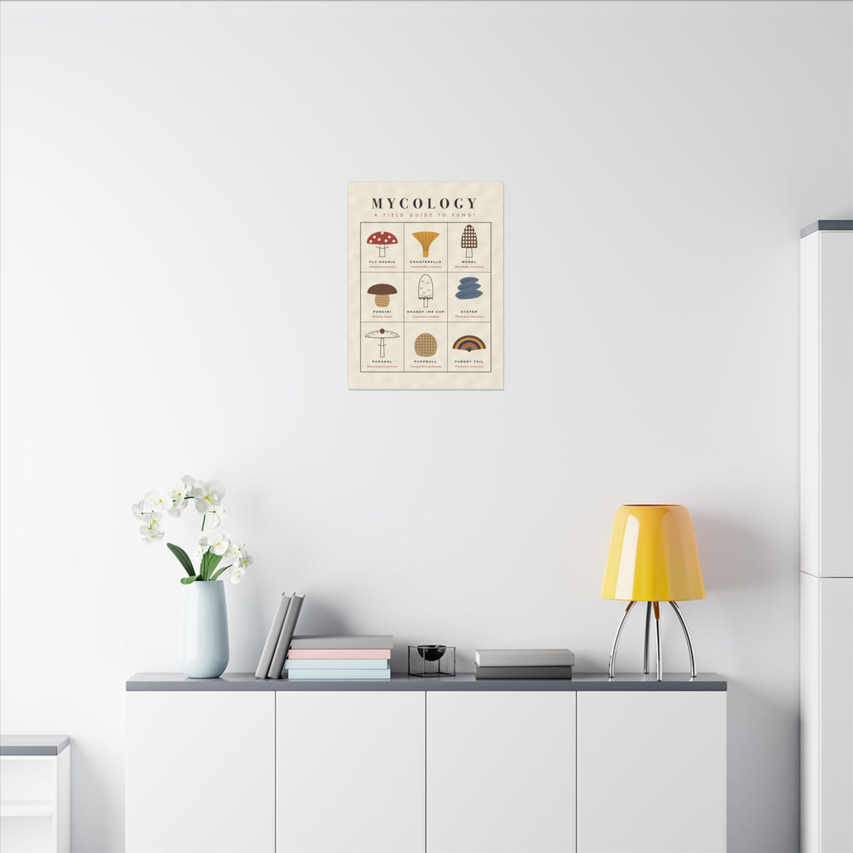 Mushroom Field Guide gallery canvas print, view 6