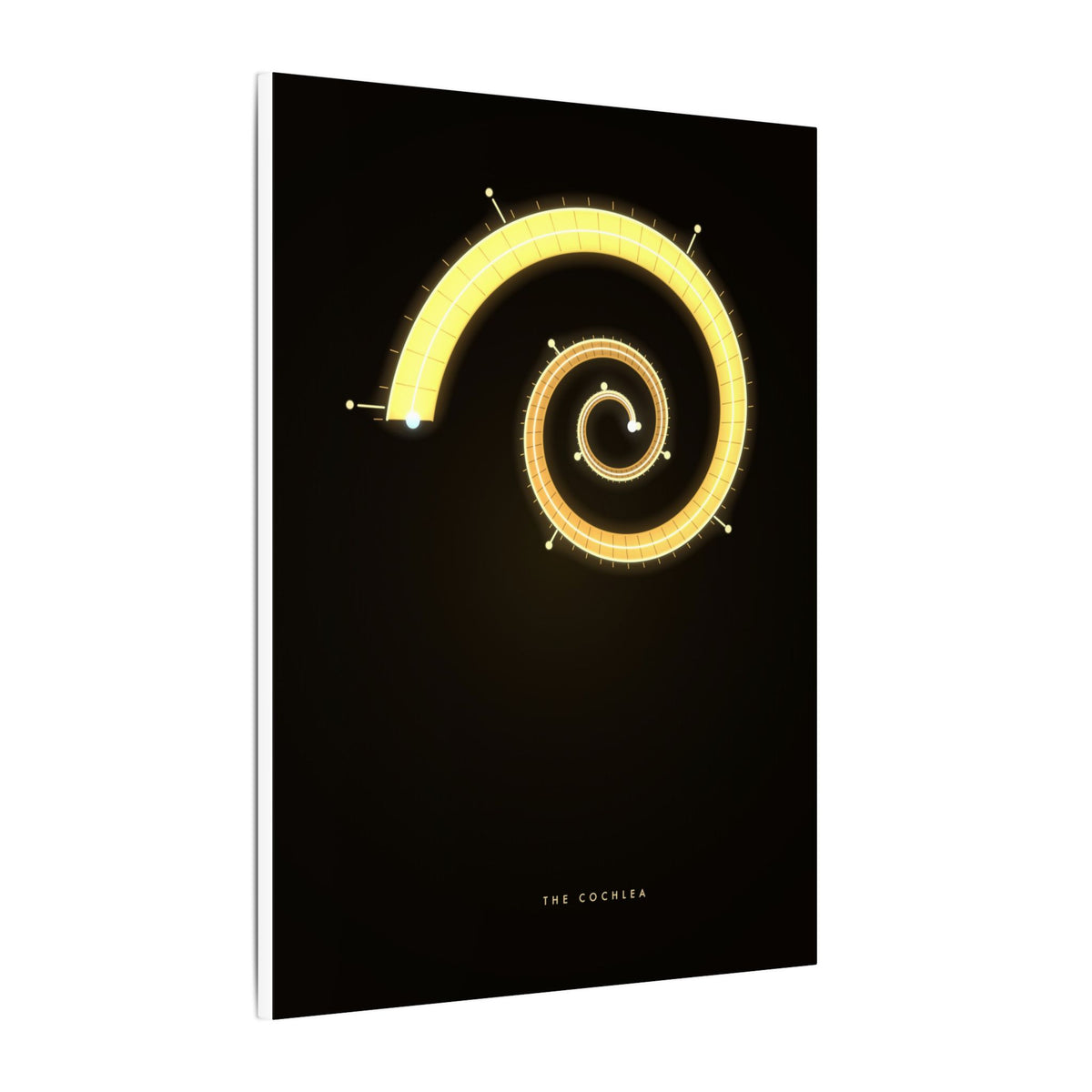 The Cochlea gallery canvas print, view 4