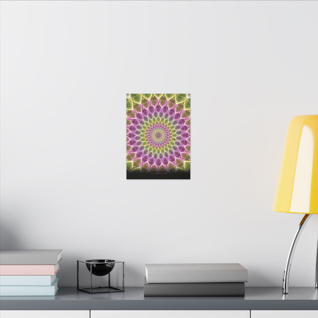 The Star Blossom gallery canvas print, view 9