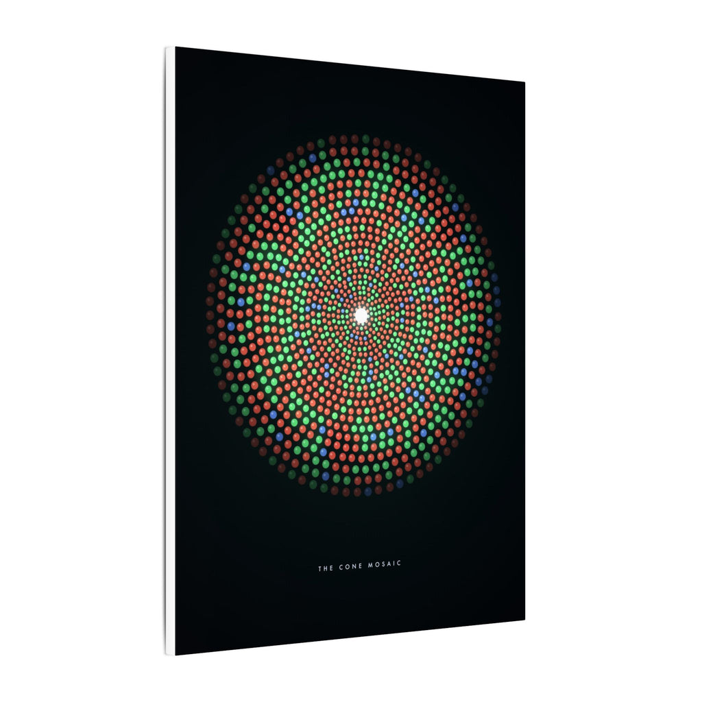 The Cone Mosaic gallery canvas print, view 4