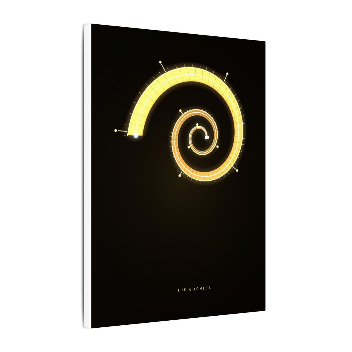 The Cochlea gallery canvas print, view 10