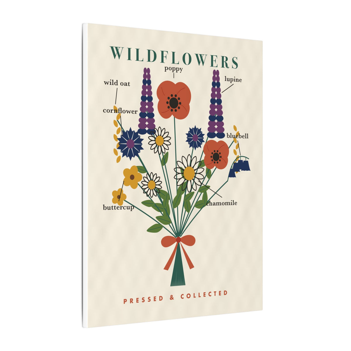 Wildflower Field Guide gallery canvas print, view 4