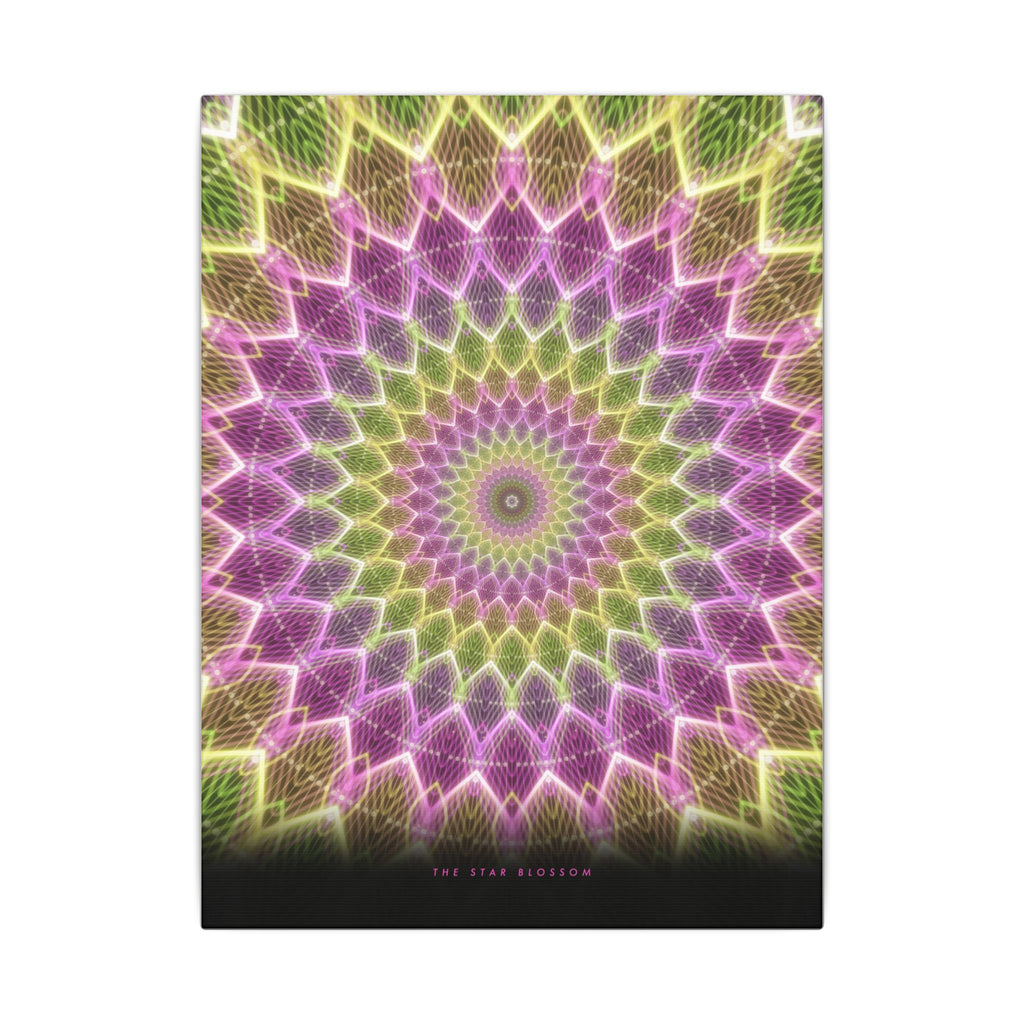 The Star Blossom gallery canvas print, view 2