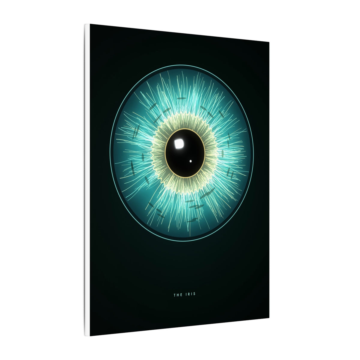 The Iris gallery canvas print, view 4