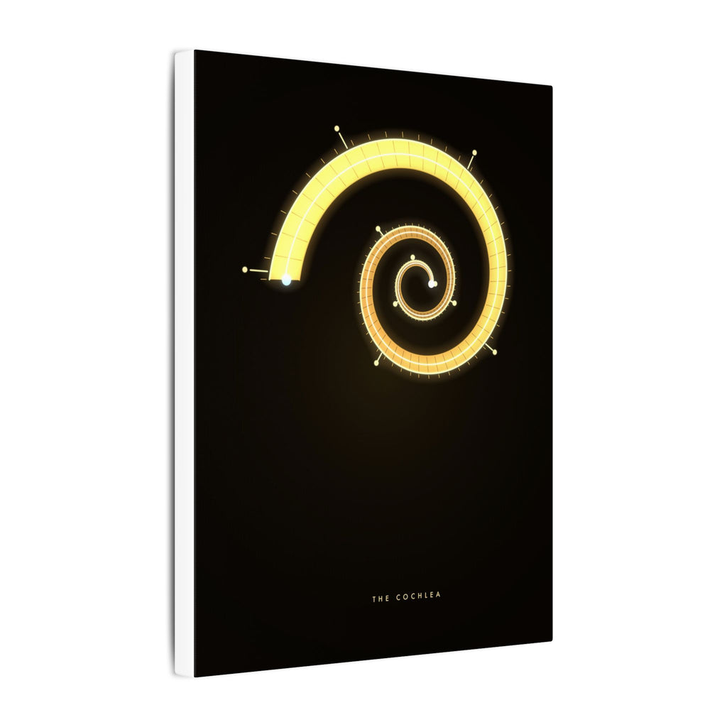 The Cochlea gallery canvas print, view 7