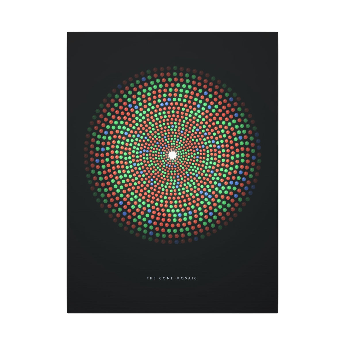 The Cone Mosaic gallery canvas print, view 1