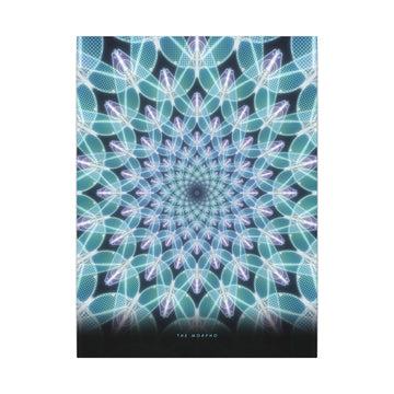 The Morpho Canvas