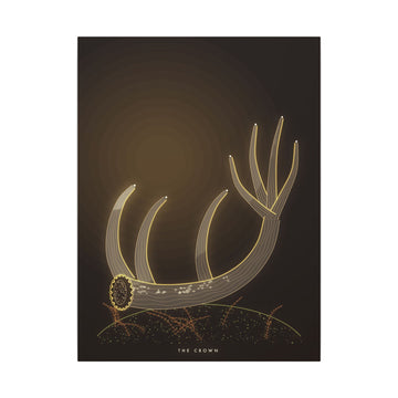 The Crown Canvas